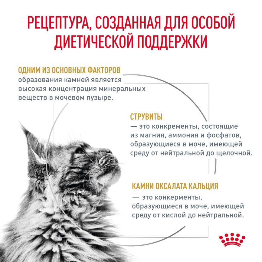 Влажный корм Royal Canin Urinary S/O в соусе для кошек при мочекаменной болезни, пауч, 85 г фото 8