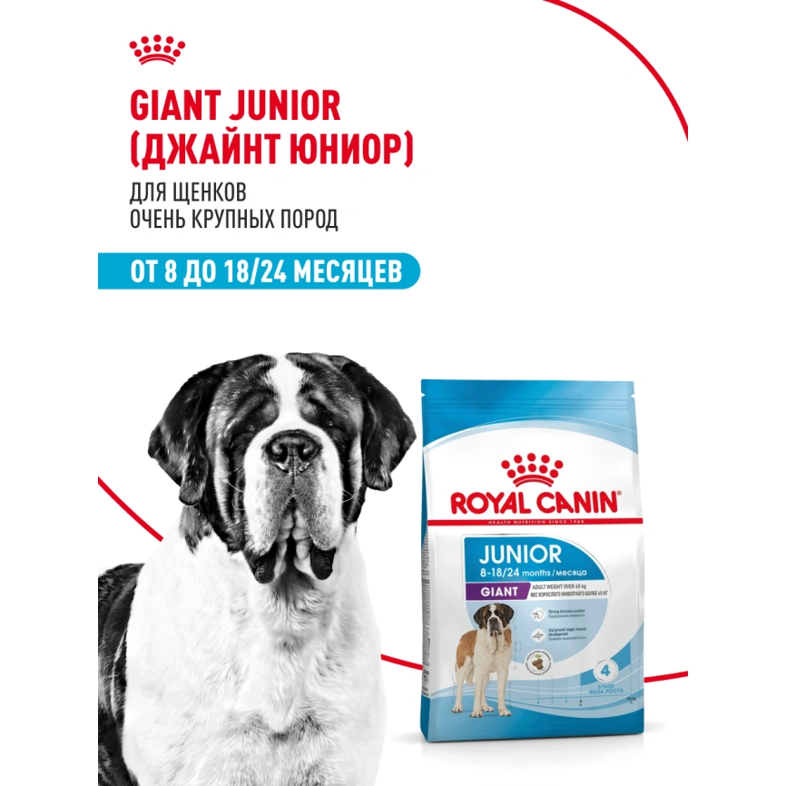 Сухой корм Royal Canin Giant Junior для щенков, 15 кг фото 12