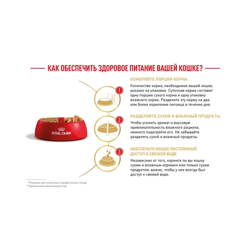 Сухой корм Royal Canin British Shorthair для кошек породы британская короткошерстная, 4 кг фото 16