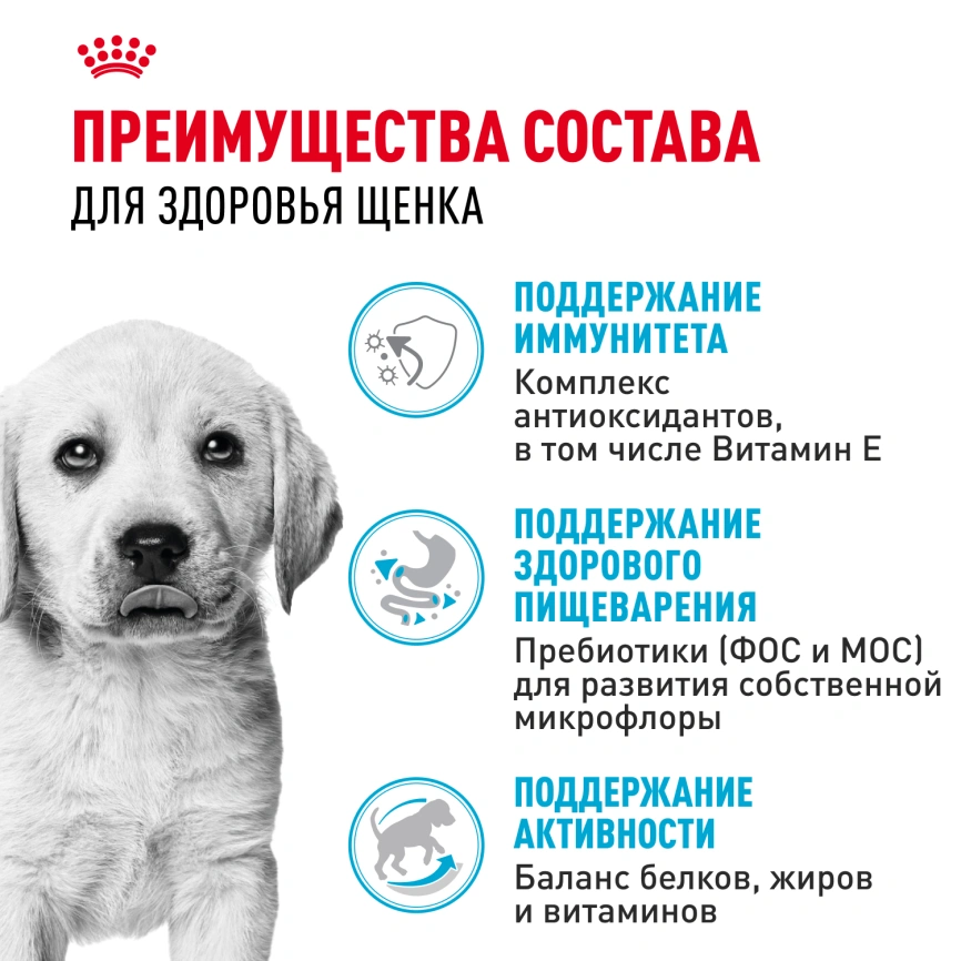 Сухой корм Royal Canin Labrador Retriever Puppy для щенков, 12 кг фото 3