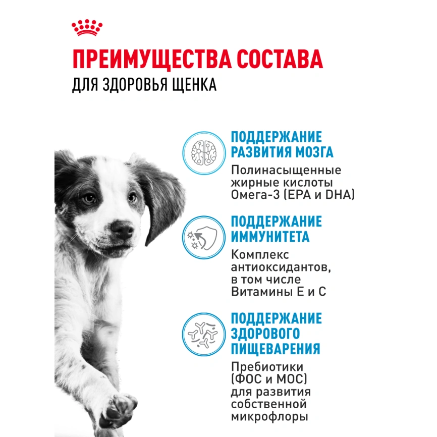 Сухой корм Royal Canin Medium Puppy для щенков, 3 кг фото 19