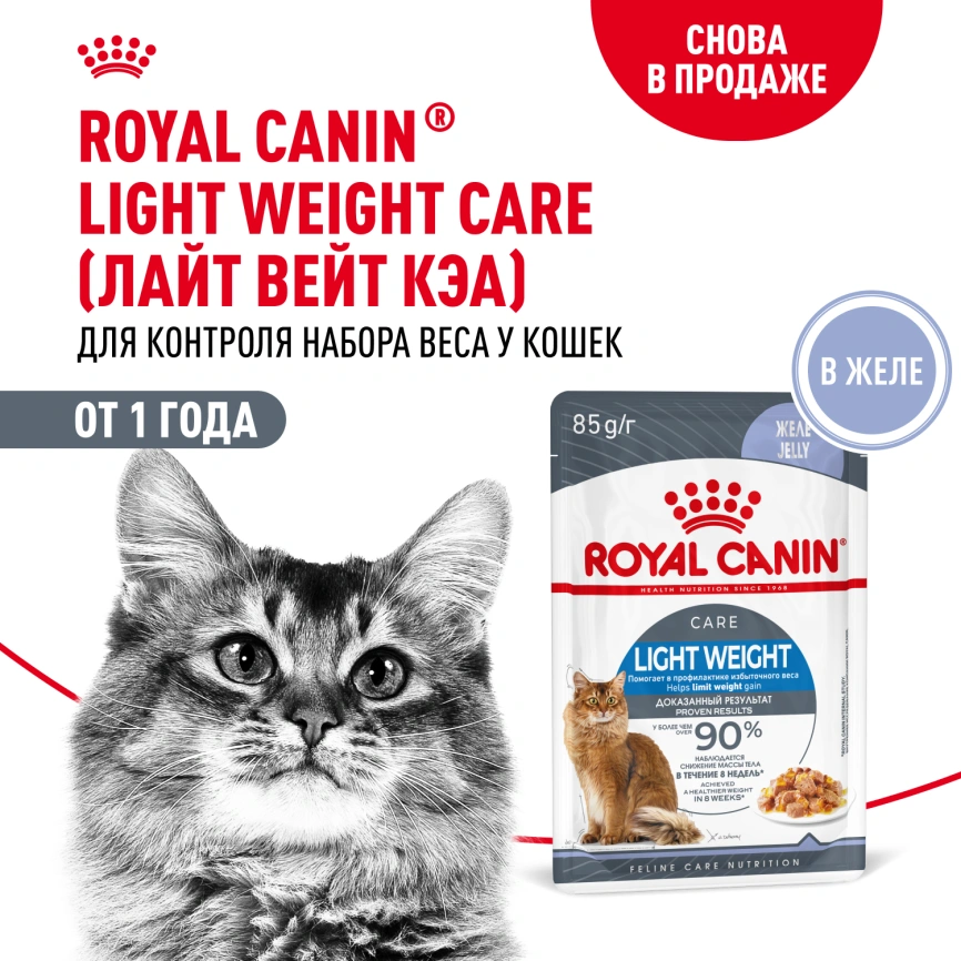 Влажный корм Royal Canin Light Weight Care в соусе для взрослых кошек, склонных к полноте, пауч, 85 г фото 15