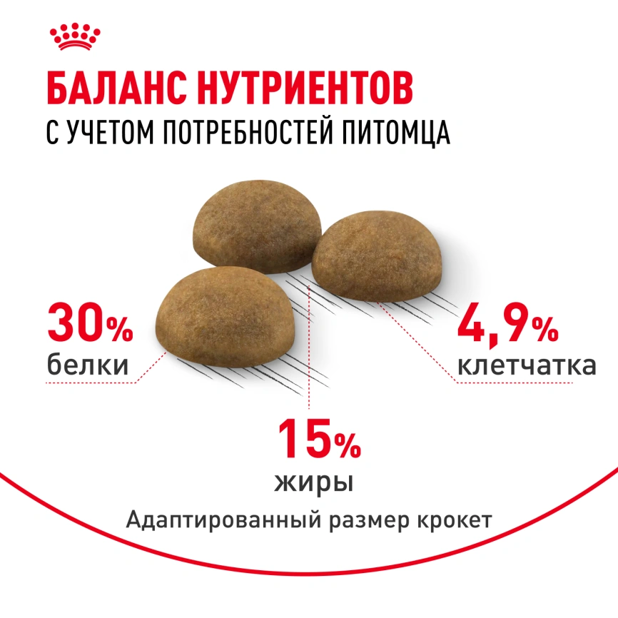 Сухой корм Royal Canin Indoor Long Hair для кошек, 2 кг фото 4
