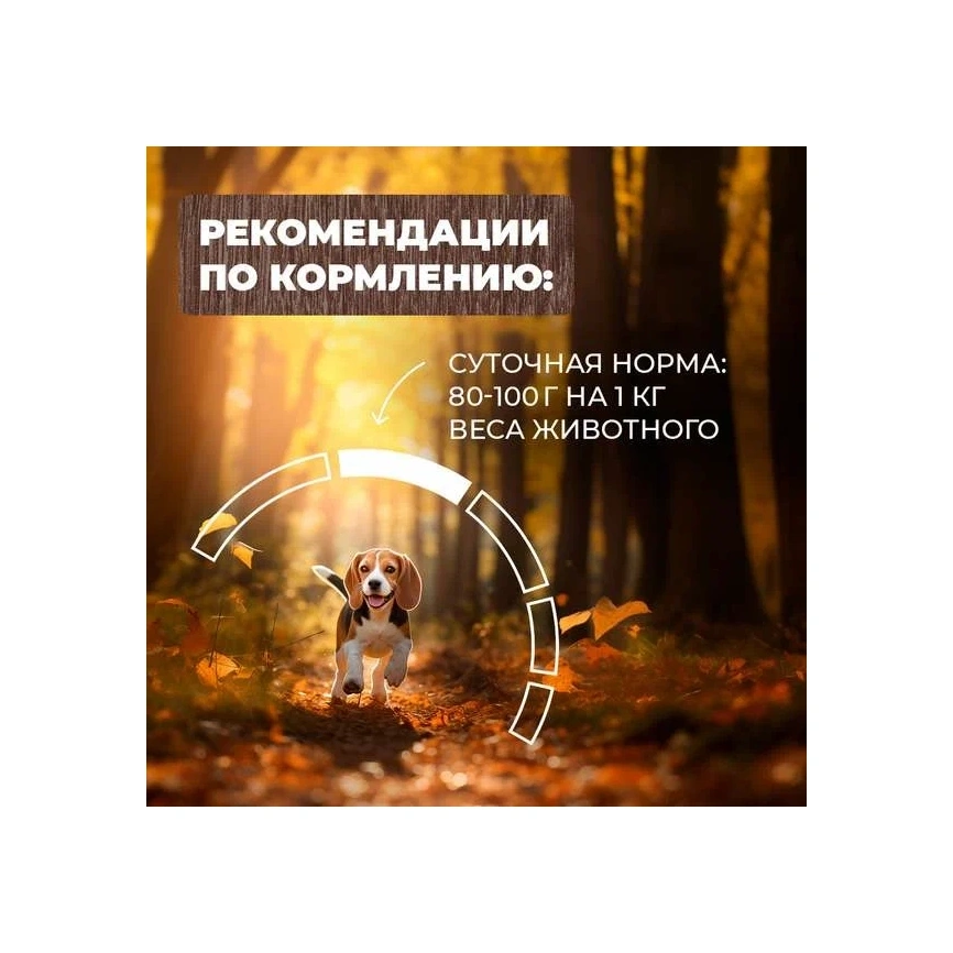 Влажный корм Родные корма для собак, мясные кусочки в соусе по-суздальски, 970 г фото 5