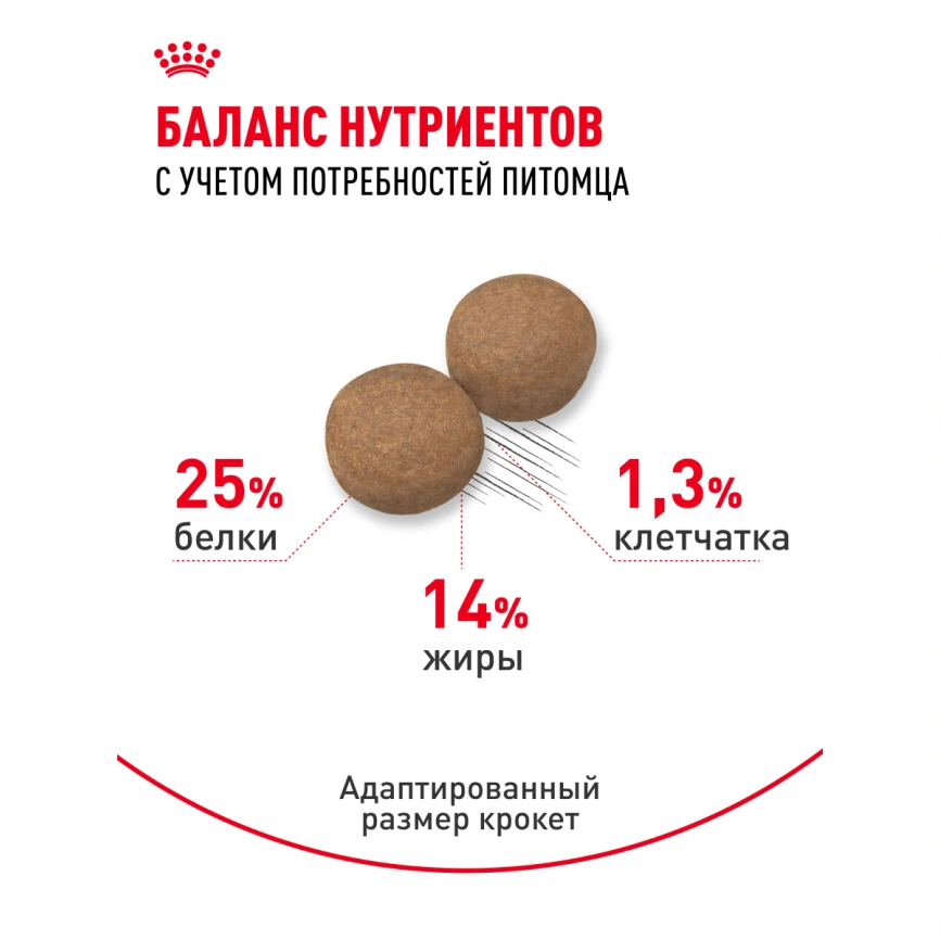 Сухой корм Royal Canin Medium Adult для собак, 15 кг фото 16