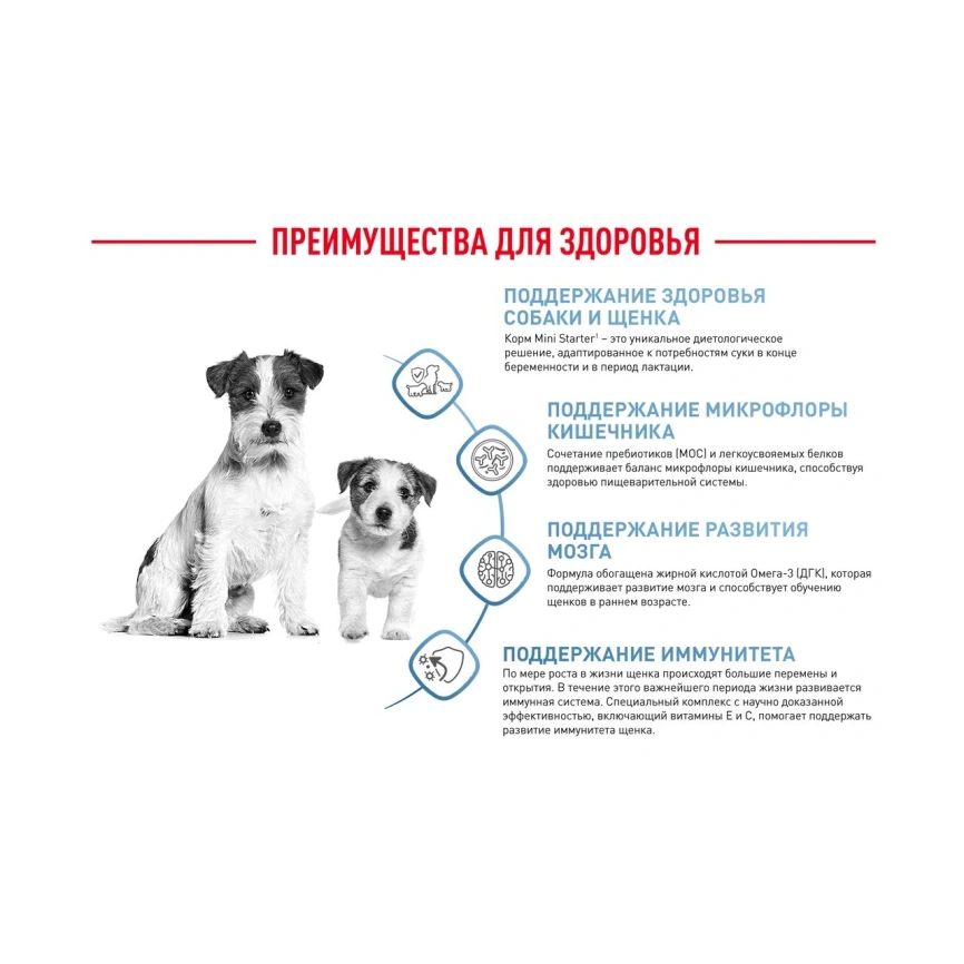 Сухой корм Royal Canin Mini Starter Mother & Babydog для щенков и кормящих сук, 1 кг фото 17