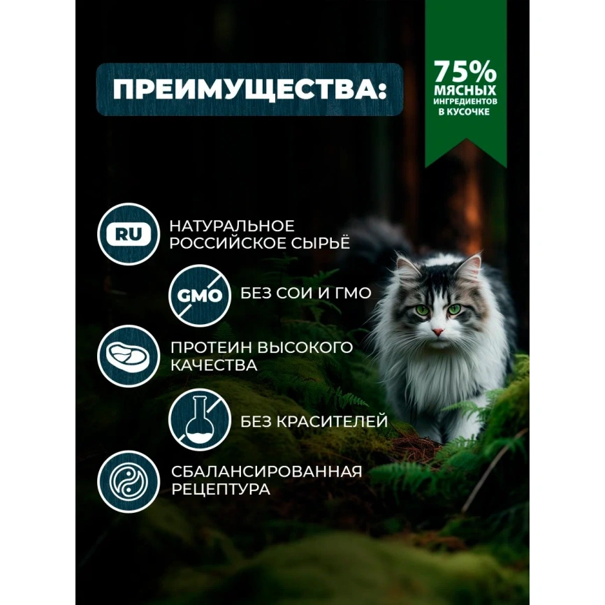 Влажный корм Родные корма Beef & Liver для стерилизованных кошек и кастрированных котов, с говядиной и печенью кусочки в желе по-таежному, 85 г фото 2