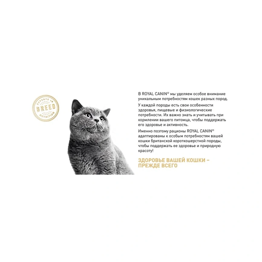 Сухой корм Royal Canin Maine Coon для кошек, 4 кг фото 16