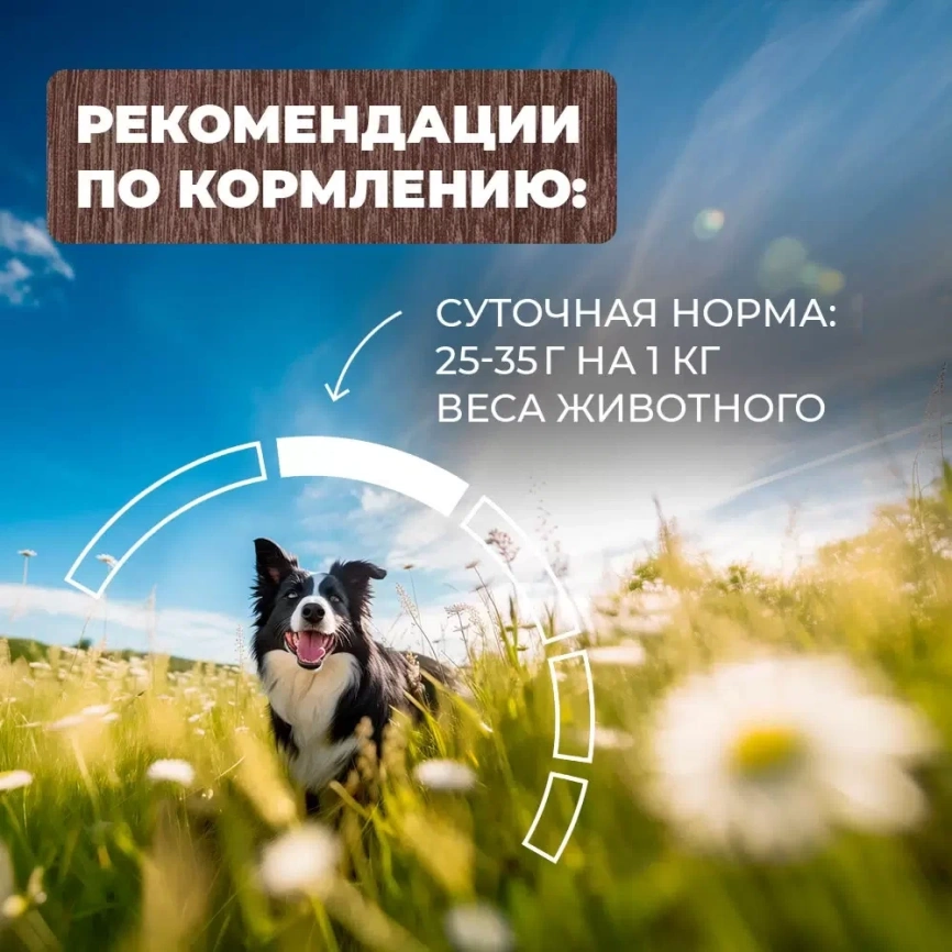 Влажный корм Родные корма Chicken для собак, курочка по-елецки, 970 г фото 5