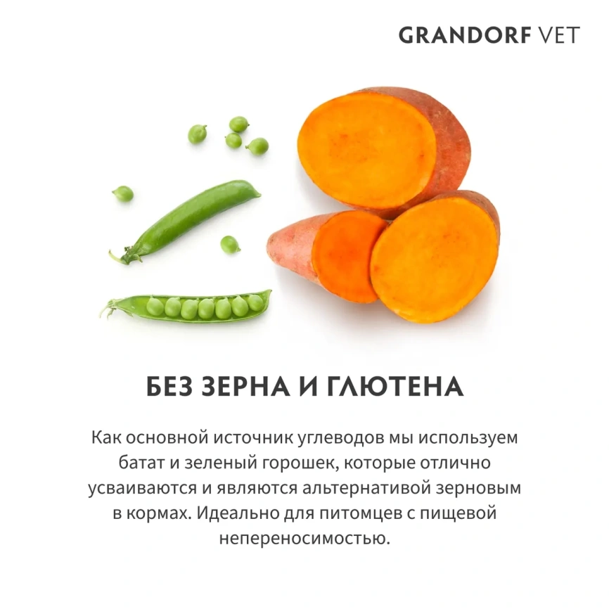 Сухой корм Grandorf Veterinary Gastrointestinal для кошек при расстройствах пищеварения, 400 г фото 4