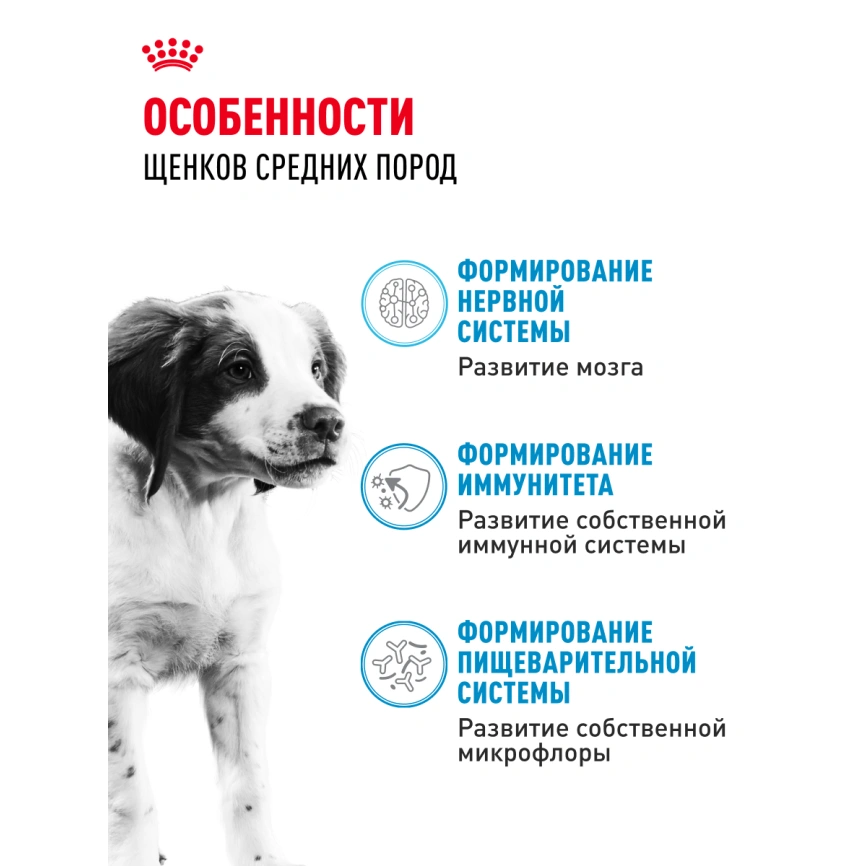 Сухой корм Royal Canin Medium Puppy для щенков, 3 кг фото 18