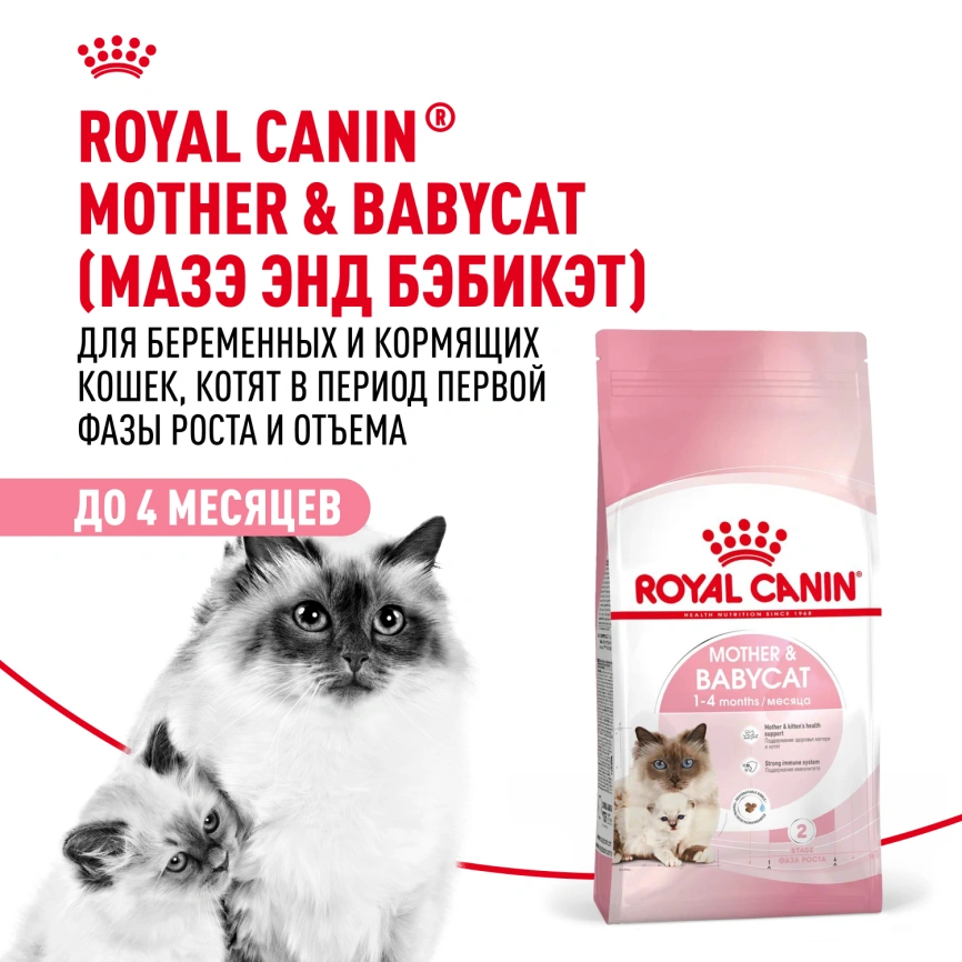 Сухой корм Royal Canin Mother & Babycat для котят, беременных и лактирующих кошек, 4 кг фото 13