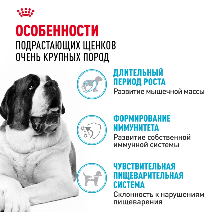 Сухой корм Royal Canin Giant Junior для щенков, 3,5 кг фото 2