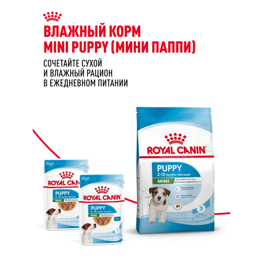 Сухой корм Royal Canin Mini Puppy для щенков, 4 кг фото 26