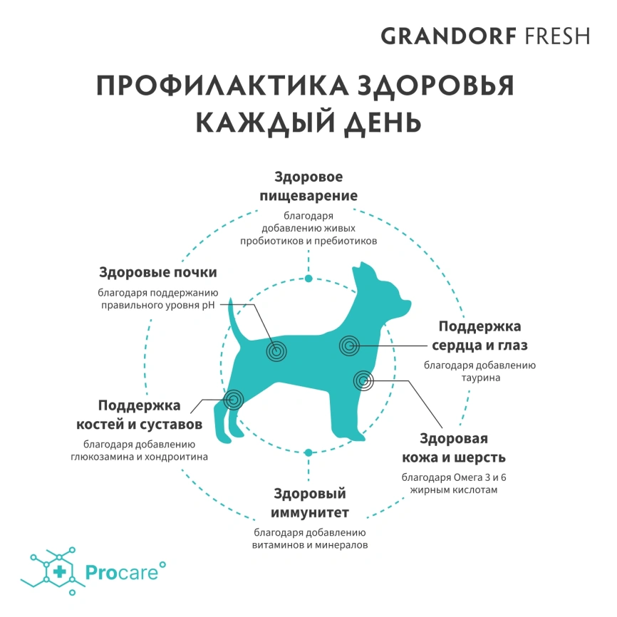 Сухой корм Grandorf Fresh Dog Salmon & Sweet Potato для взрослых собак мелких пород для здоровья кожи и шерсти лосось, с бататом, 3 кг фото 3