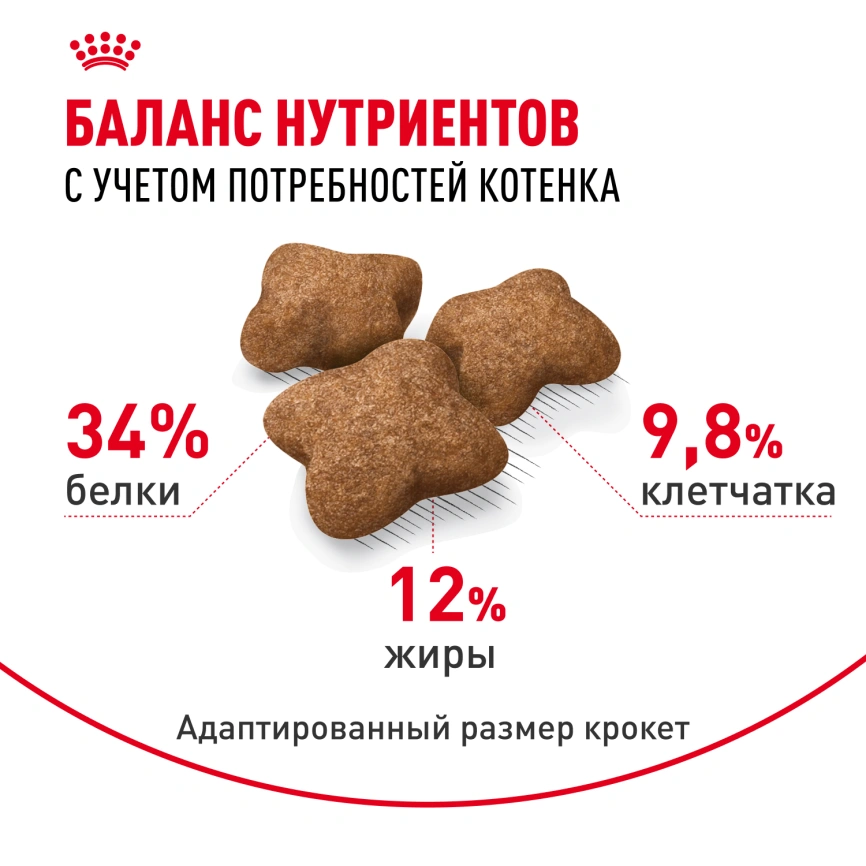 Сухой корм Royal Canin Kitten Sterilised для котят, 400 г фото 4