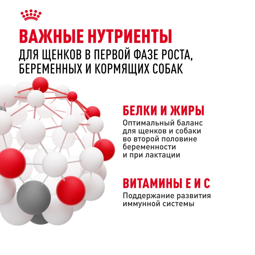 Сухой корм Royal Canin Giant Starter Mother & Babydog для щенков и собак, 4 кг фото 5