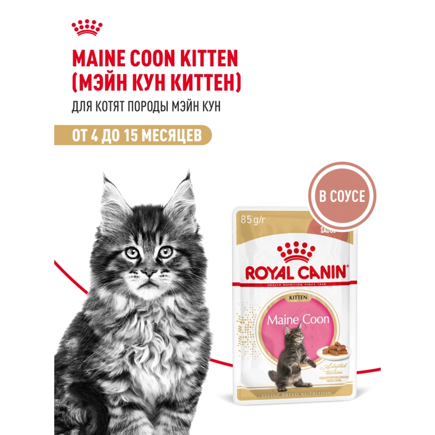 Влажный корм Royal Canin Maine Coon Kitten в соусе для котят породы мейн-кун и других крупных пород старше 3 месяцев, пауч, 85 г фото 13