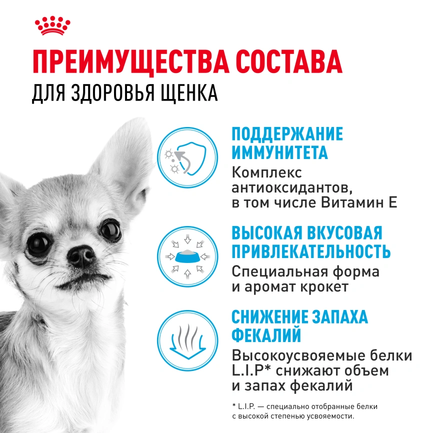 Сухой корм Royal Canin Chihuahua Puppy для щенков породы чихуахуа, 1,5 кг фото 3
