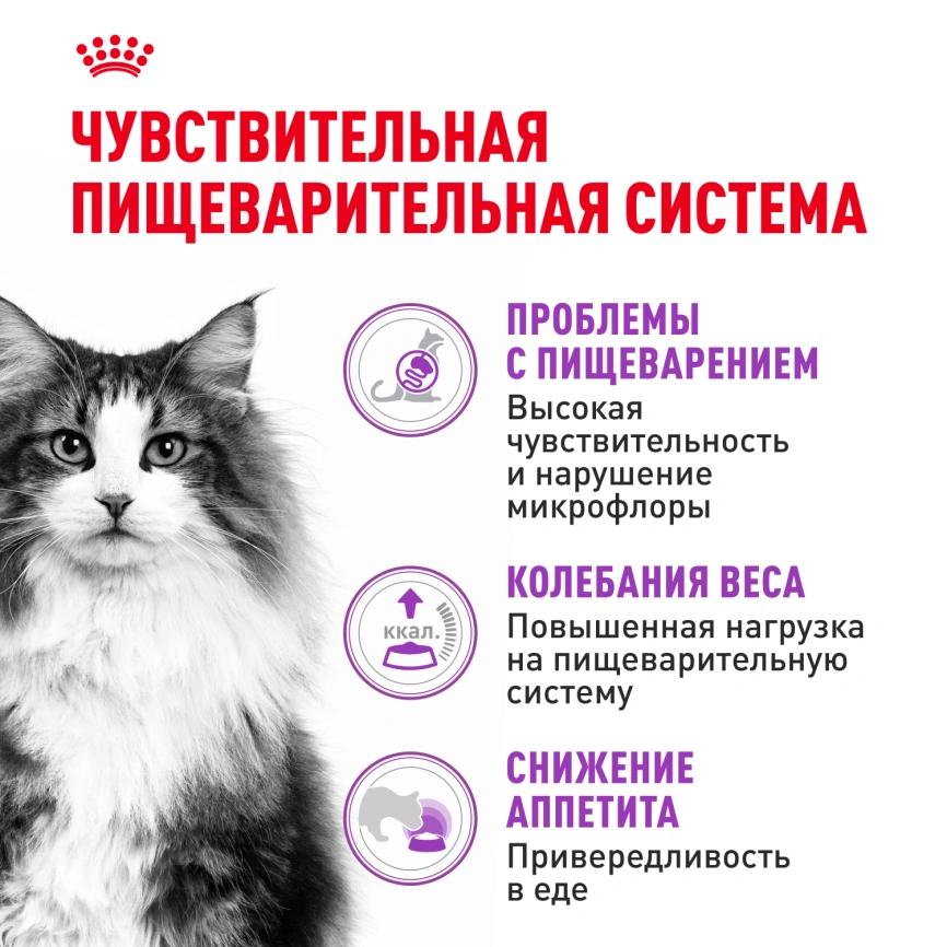 Сухой корм Royal Canin Sensible для кошек, 15 кг фото 2