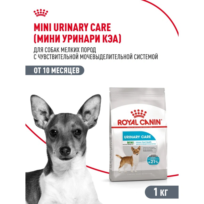 Сухой корм Royal Canin Mini Urinary Care для собак, 1 кг фото 14