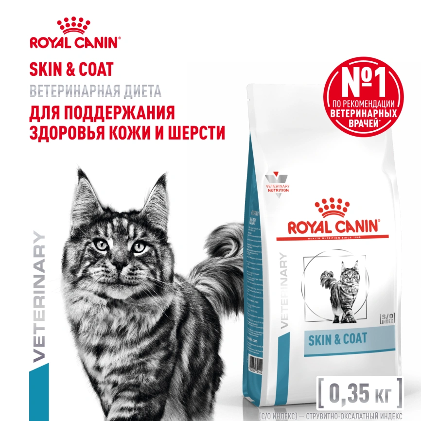 Сухой корм Royal Canin Skin & Coat для кошек, 350 г фото 1
