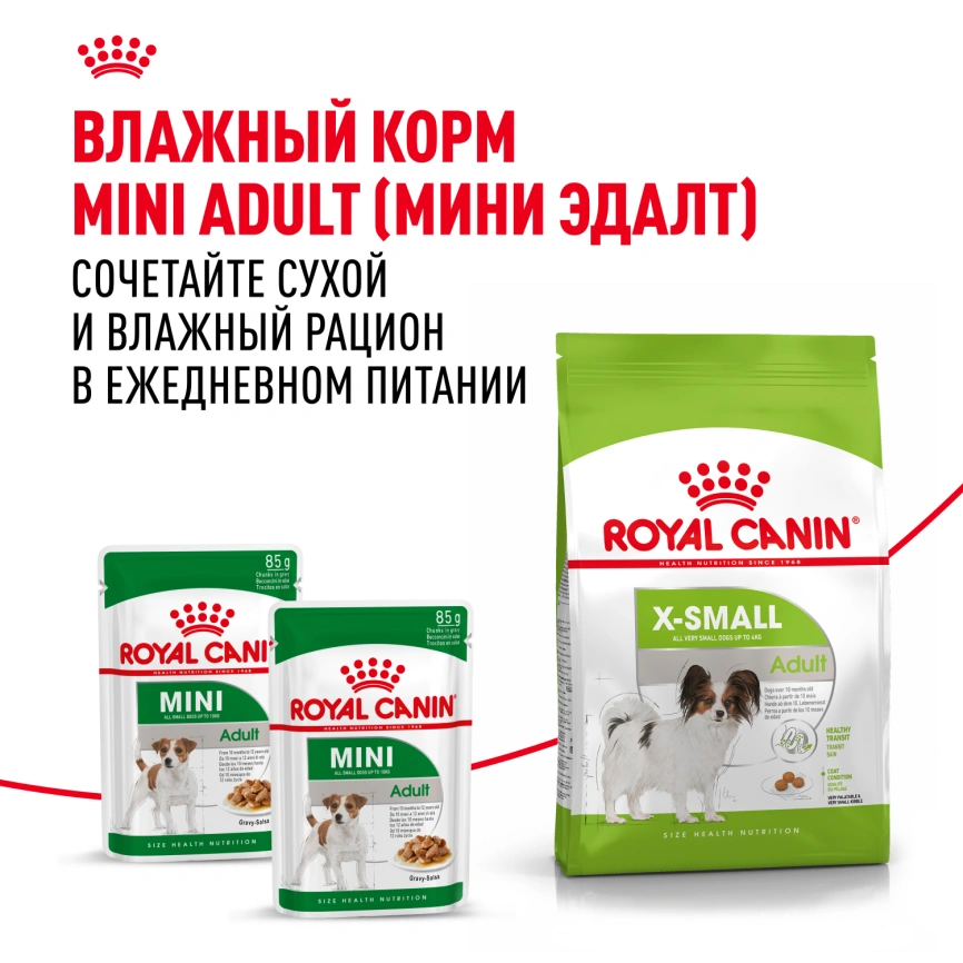 Сухой корм Royal Canin X-Small Adult для собак, 3 кг фото 8