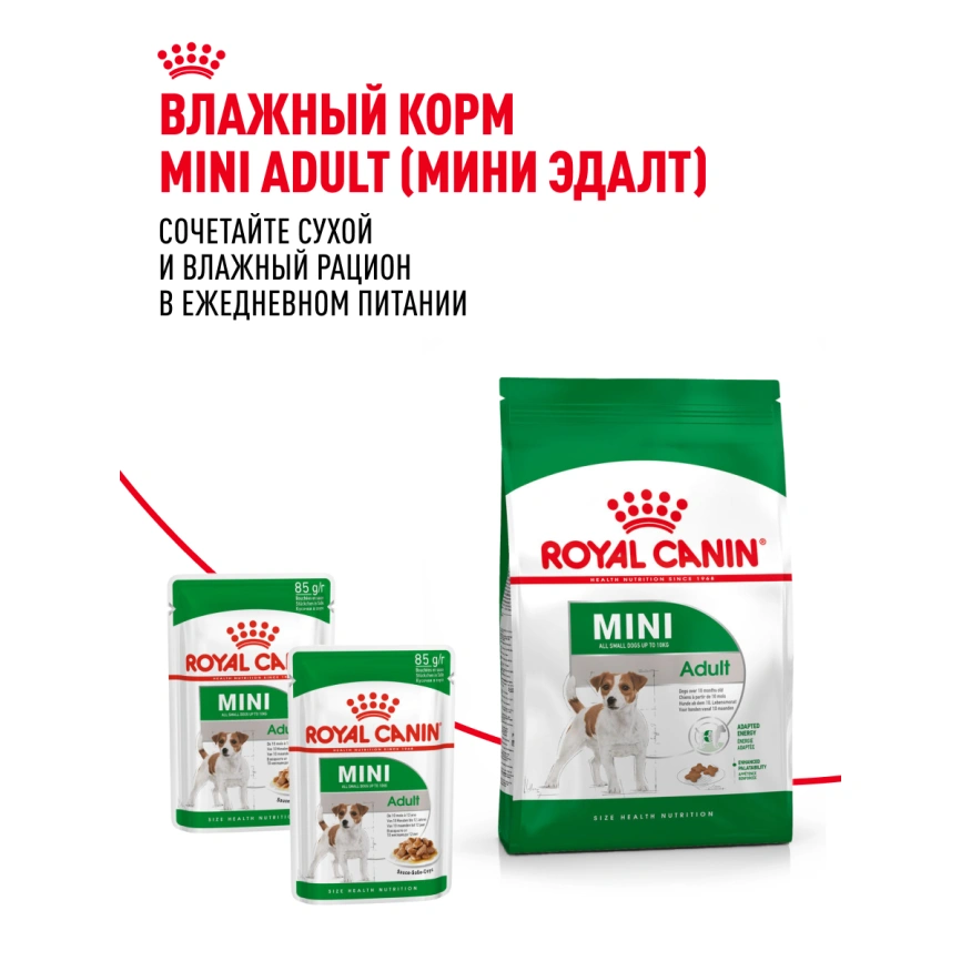 Сухой корм Royal Canin Mini Adult для взрослых собак, 2 кг фото 22