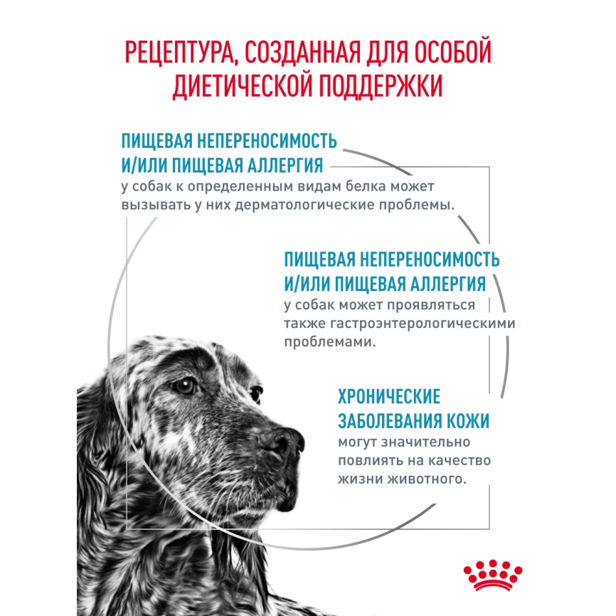 Сухой корм Royal Canin Hypoallergeniс для собак, 4 кг фото 15