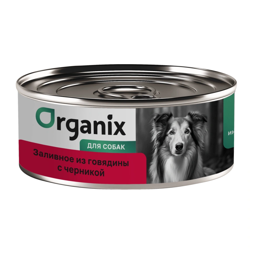Влажный корм Organix Preventive Line Beef & Blueberry для собак Заливное из говядины, с черникой, 100 г фото 1