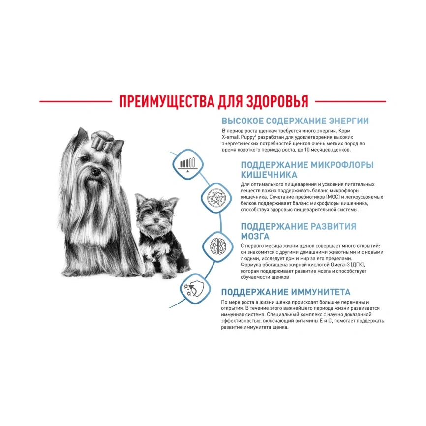 Сухой корм Royal Canin X-Small Puppy для щенков, 3 кг фото 4