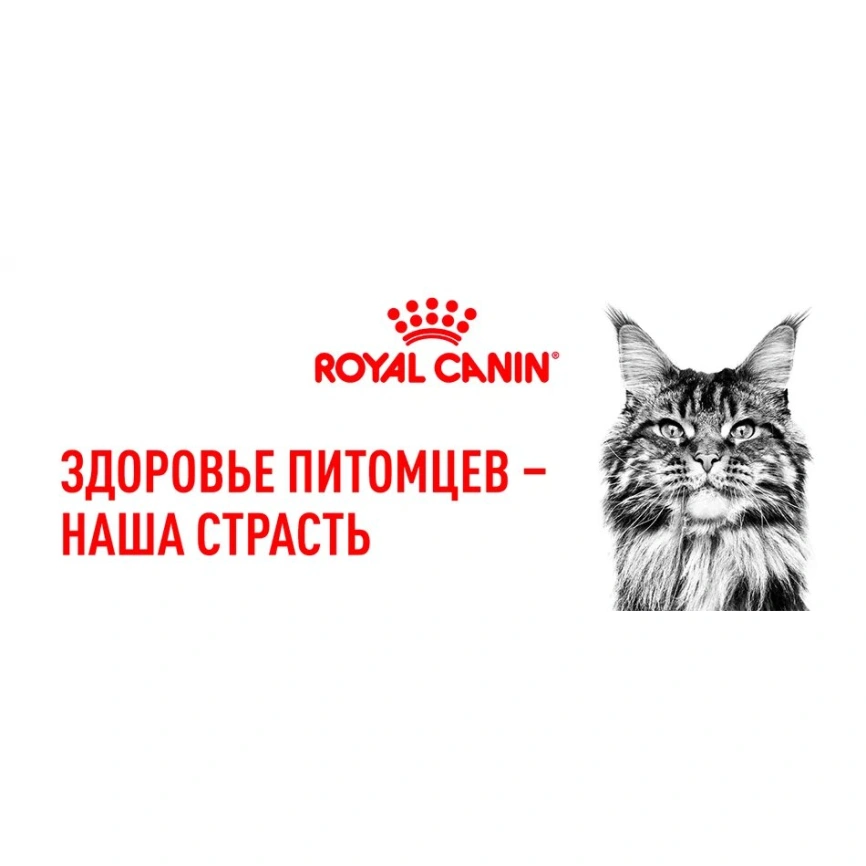 Сухой корм Royal Canin Sterilised для кастрированных котов и стерилизованных кошек, 2 кг фото 18