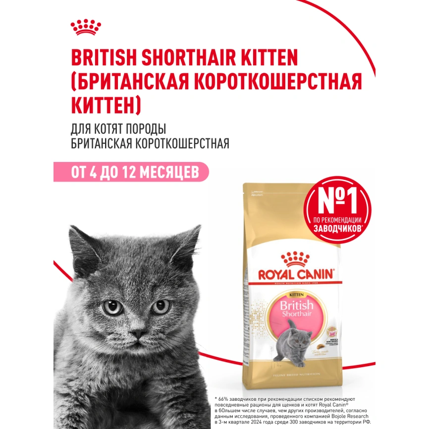 Сухой корм Royal Canin Kitten British Shorthair для котят, 10 кг фото 13