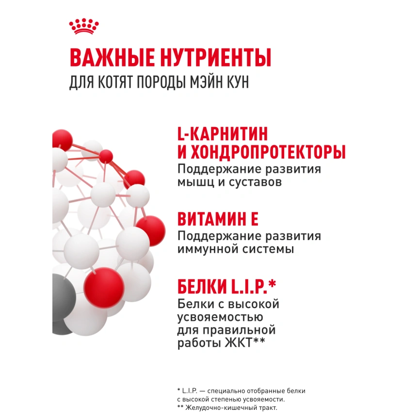 Влажный корм Royal Canin Maine Coon Kitten в соусе для котят породы мейн-кун и других крупных пород старше 3 месяцев, пауч, 85 г фото 21