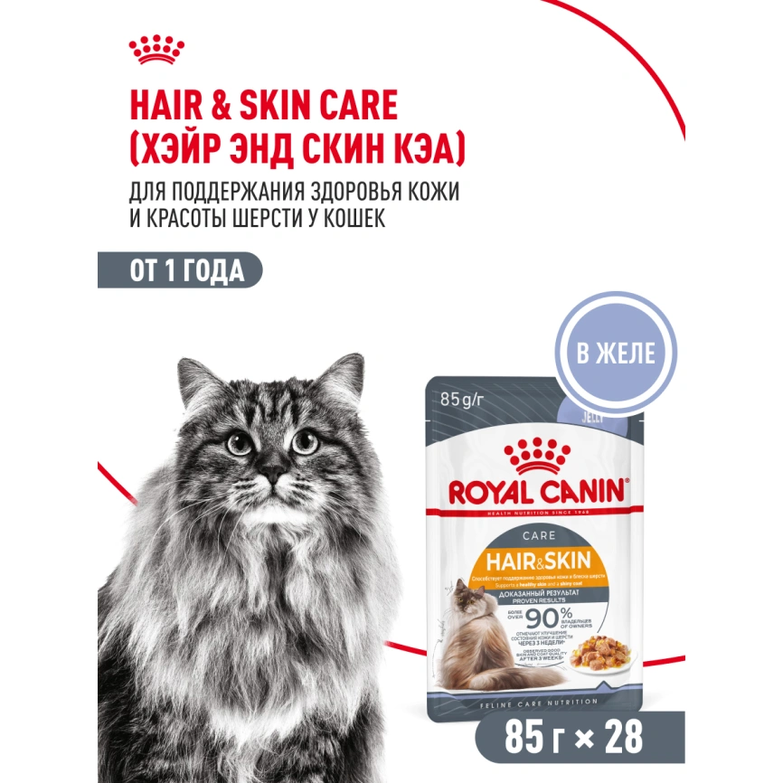Влажный корм Royal Canin Hair & Skin Care в желе для взрослых кошек старше 1 года, пауч, 85 г фото 17