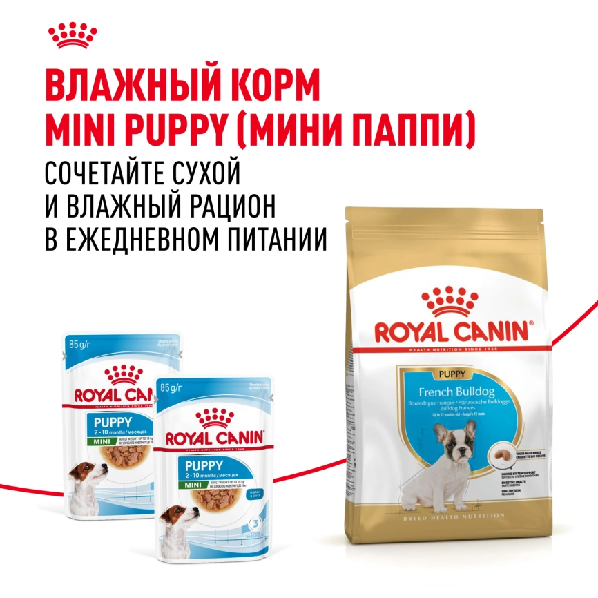 Сухой корм Royal Canin French Bulldog Puppy для щенков, 3 кг фото 8