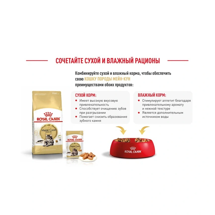 Сухой корм Royal Canin Maine Coon для кошек, 400 г фото 16
