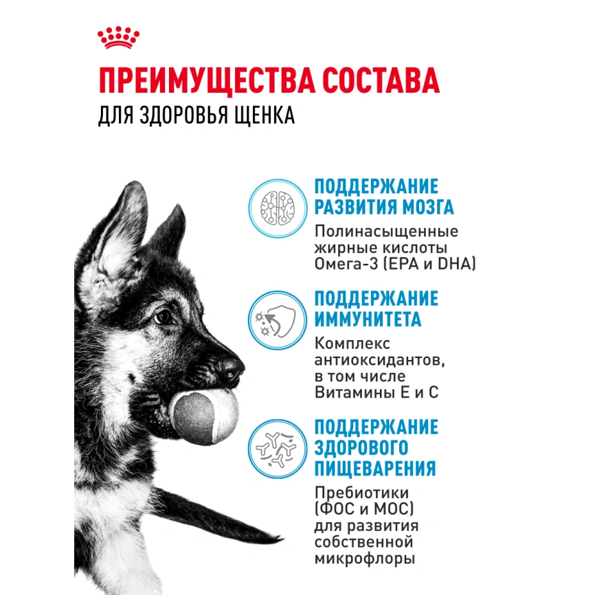 Сухой корм Royal Canin Maxi Puppy для щенков, 15 кг фото 20