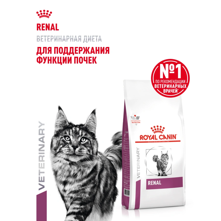 Сухой корм Royal Canin Renal для кошек при заболеваниях почек, 350 г фото 14
