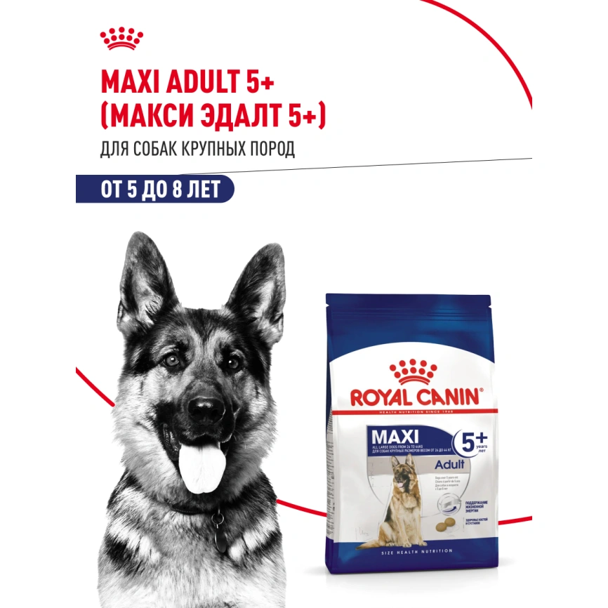 Сухой корм Royal Canin Maxi Adult 5+ для собак, 4 кг фото 13