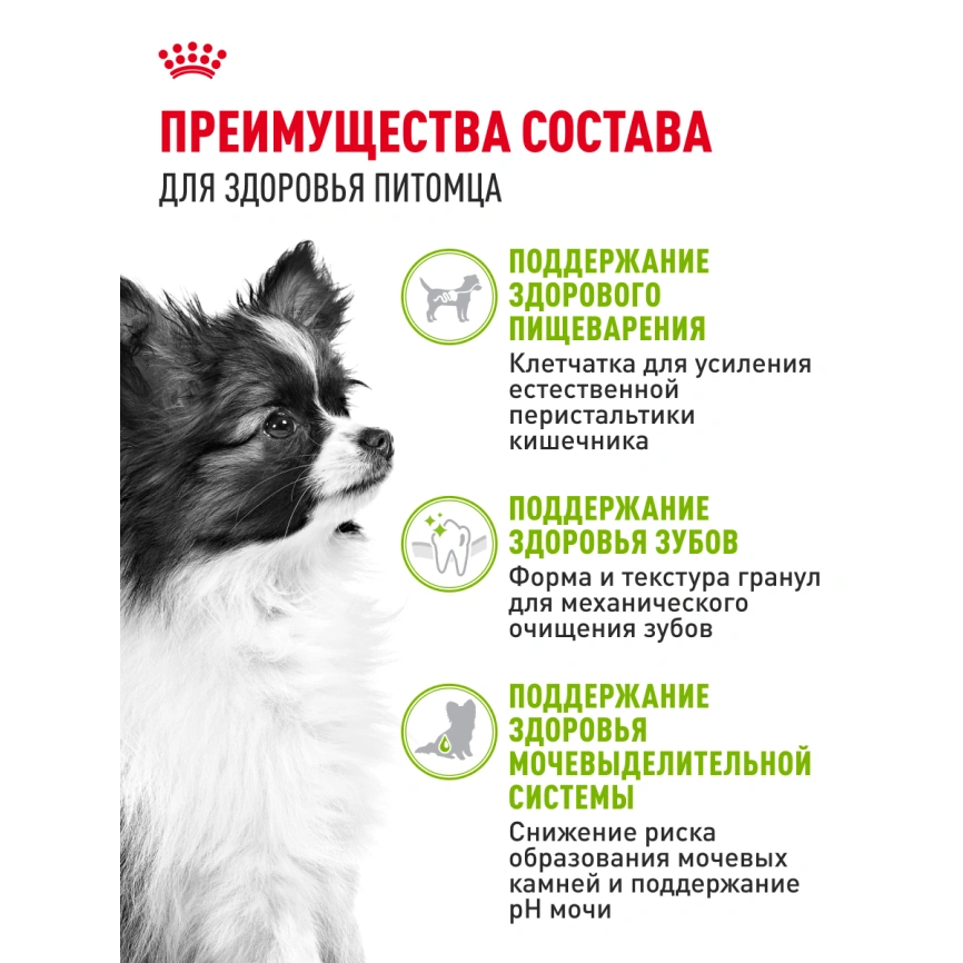 Сухой корм Royal Canin X-Small Adult для собак, 3 кг фото 15