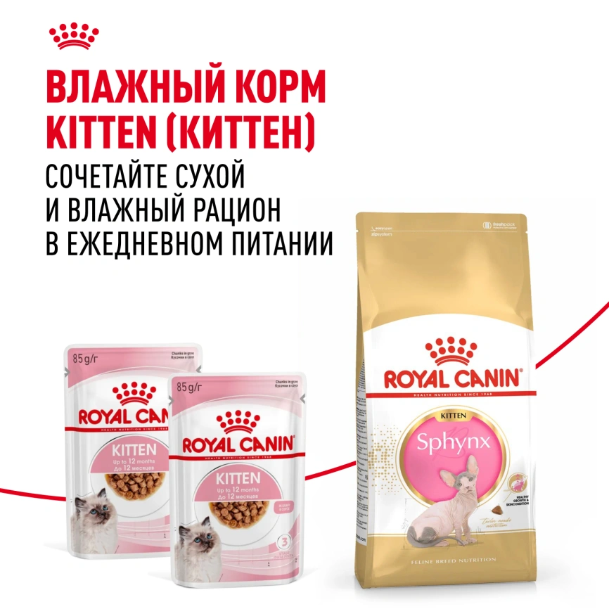 Сухой корм Royal Canin Sphynx Kitten для котят породы сфинкс до 12 месяцев, 400 г фото 9
