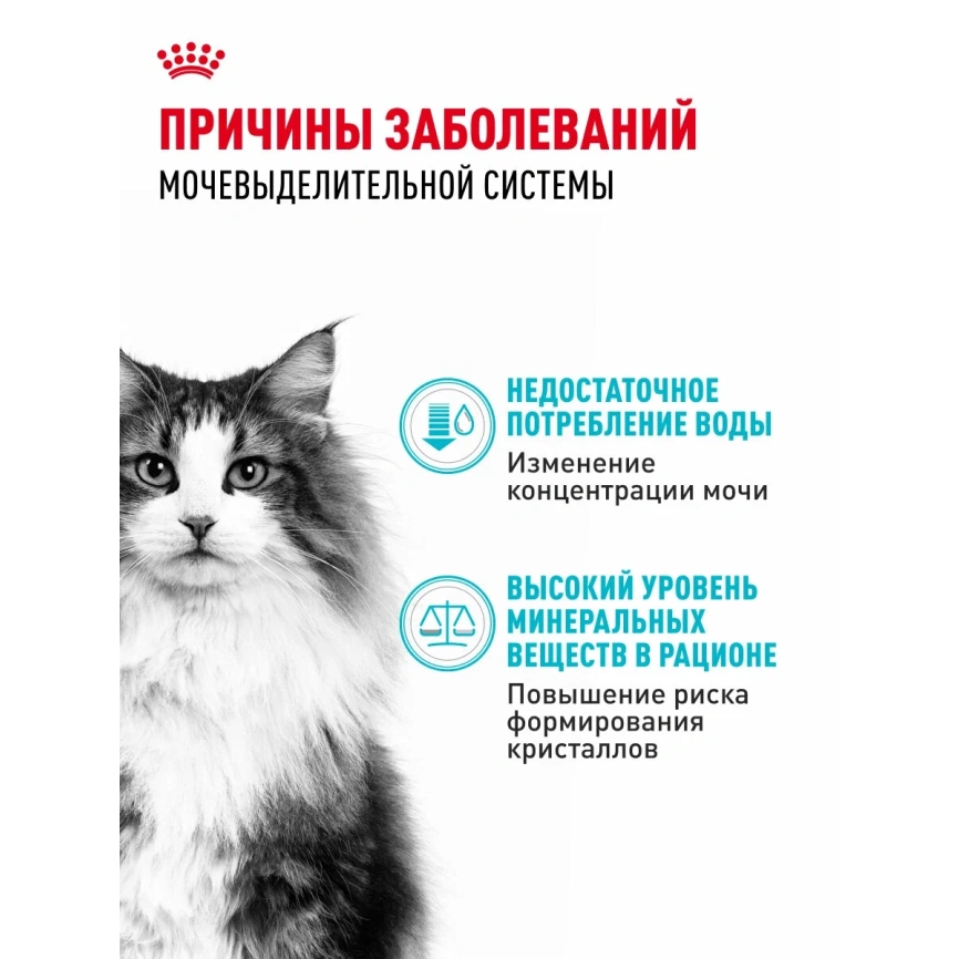 Сухой корм Royal Canin Urinary Care для поддержания здоровья мочевыделительной системы кошек, 2 кг фото 2