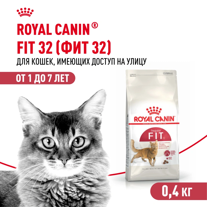 Сухой корм Royal Canin Fit для кошек, 400 г фото 1