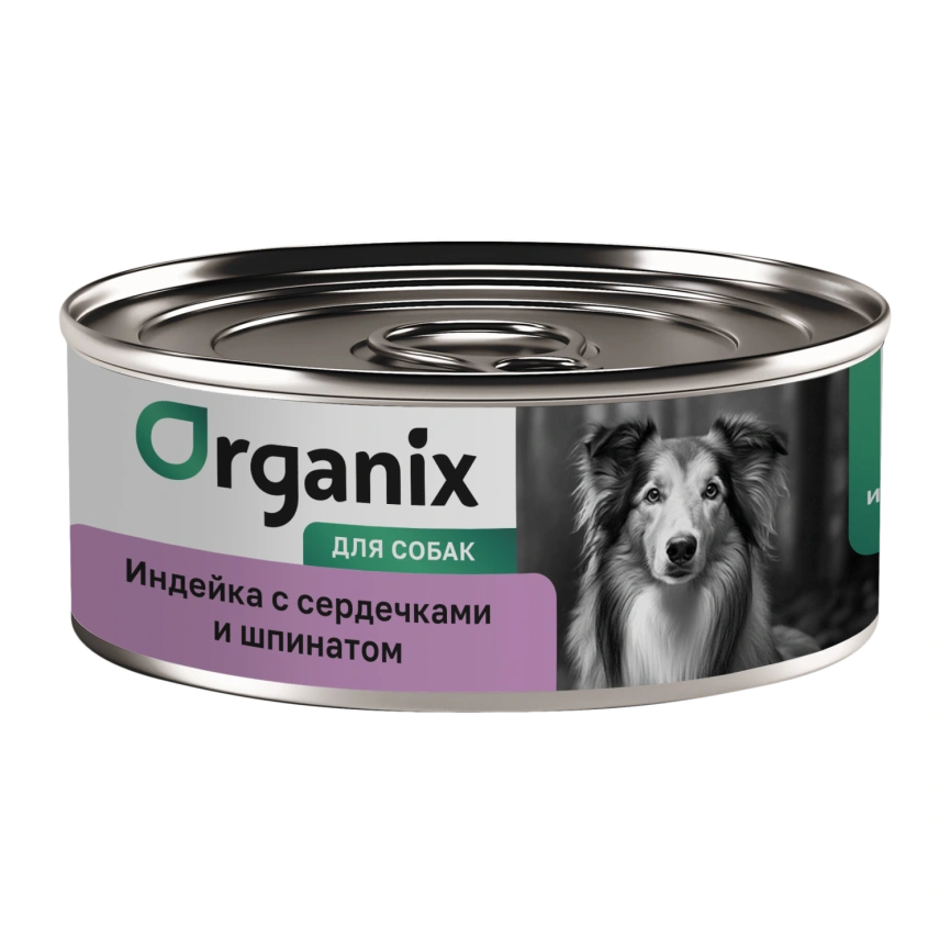 Влажный корм Organix Preventive Line Turkey & Spinach для собак Индейка с сердечками и шпинатом, 100 г фото 1