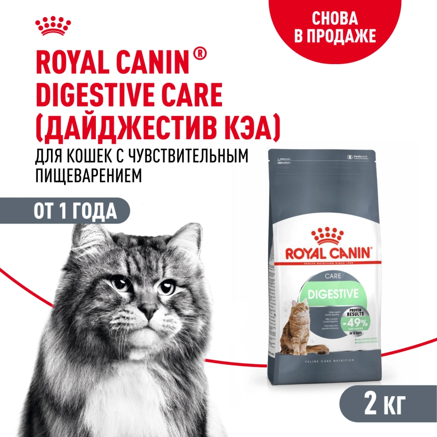 Сухой корм Royal Canin Digestive Care для кошек, 2 кг фото 1