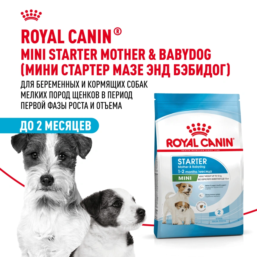 Сухой корм Royal Canin Mini Starter Mother & Babydog для щенков и кормящих сук, 8,5 кг фото 12