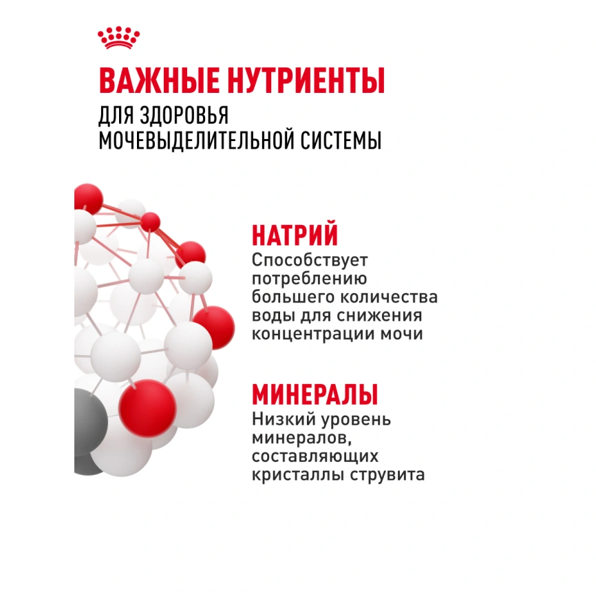 Сухой корм Royal Canin Urinary Care для кошек для профилактика мочекаменной болезни, 400 г фото 19