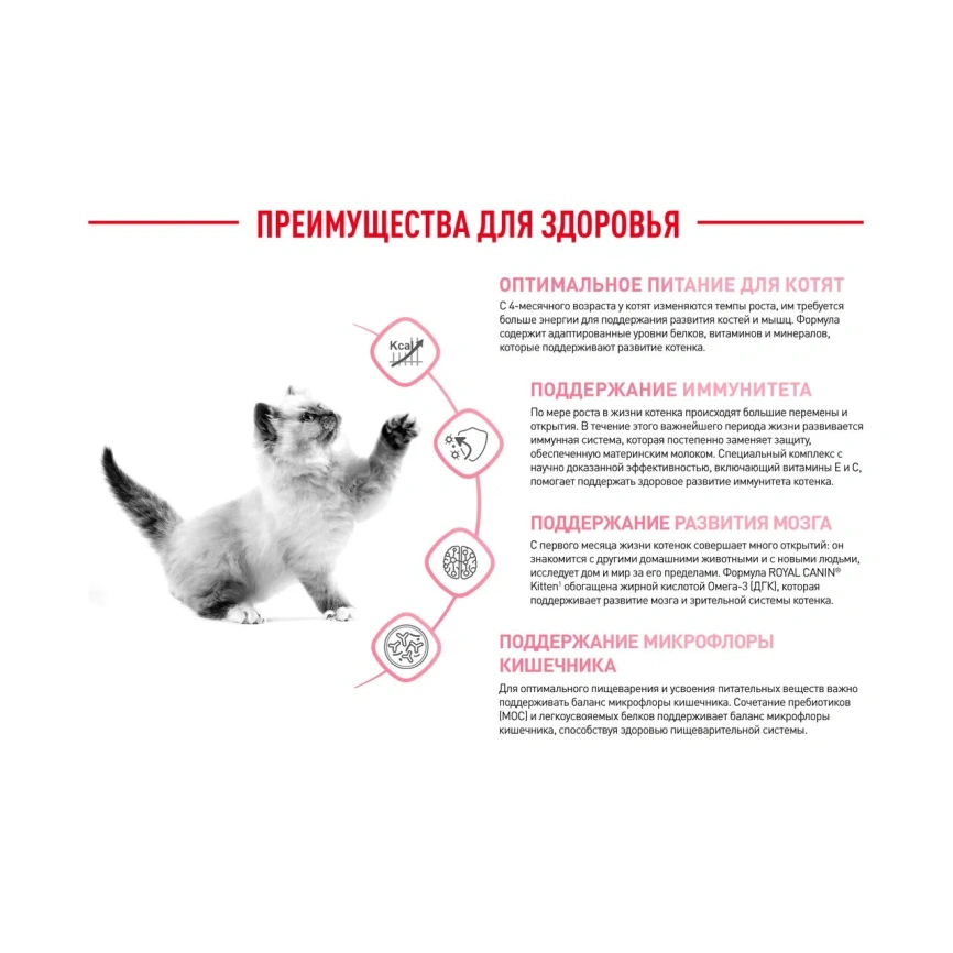 Сухой корм Royal Canin Kitten для котят, 10 кг фото 4