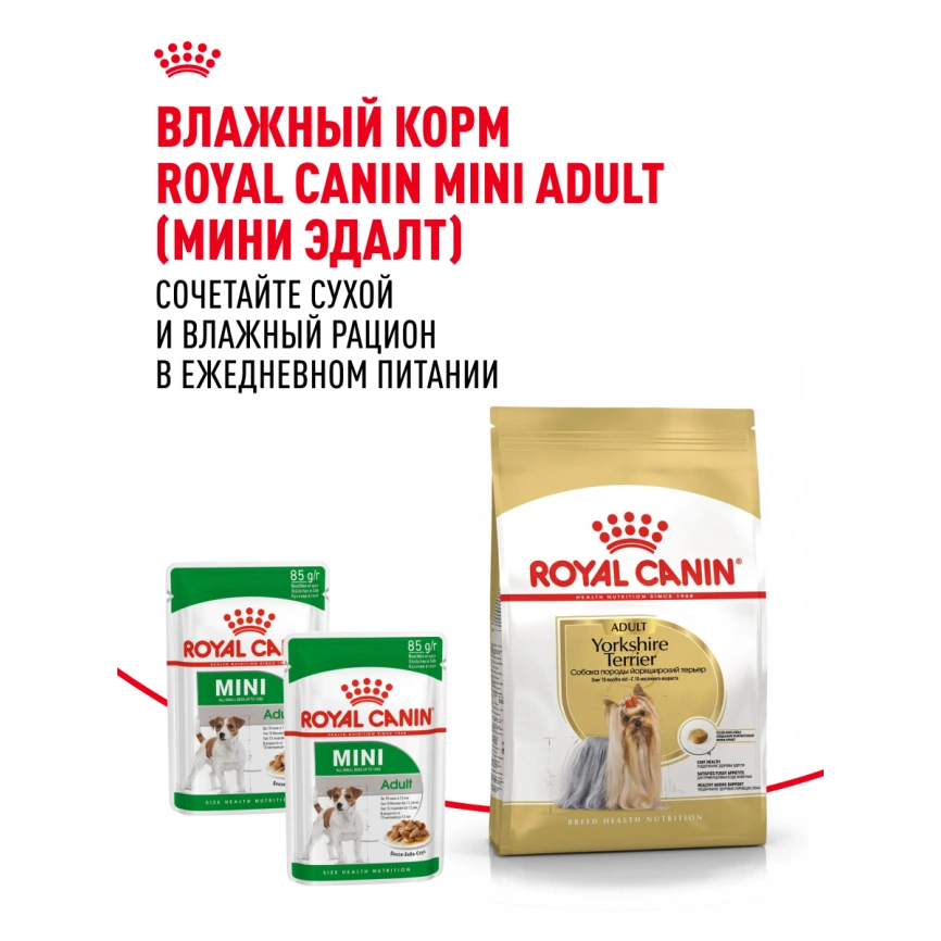 Сухой корм Royal Canin Yorkshire Terrier Adult для взрослых собак, 500 г фото 23
